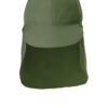 18281-OliveLeaf-1-C949OliveLeafFlatStraight-1200W
